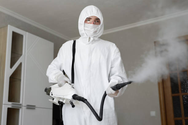 Best Residential Mold Inspection & Testing  in Tainter Lake, WI