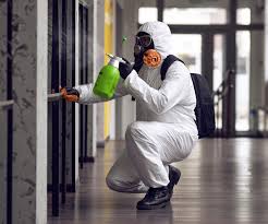  Tainter Lake, WI Mold Removal & Remediation Pros